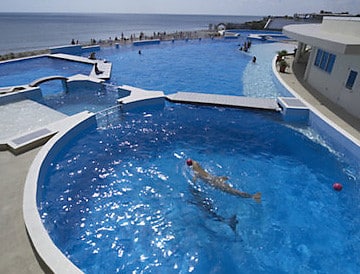 Rekindle the Romance 4 Marineland Dolphin Adventure complex